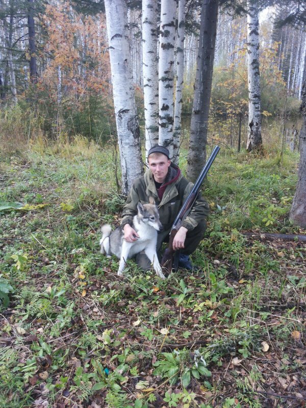 Выходные в лесу