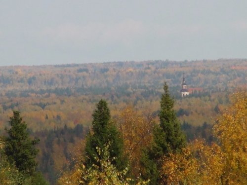 По боровой, за глухарями