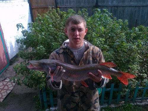 Поймал щучонка на 3 кг 400 грамм)