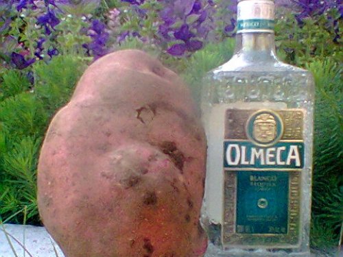 Откопались.