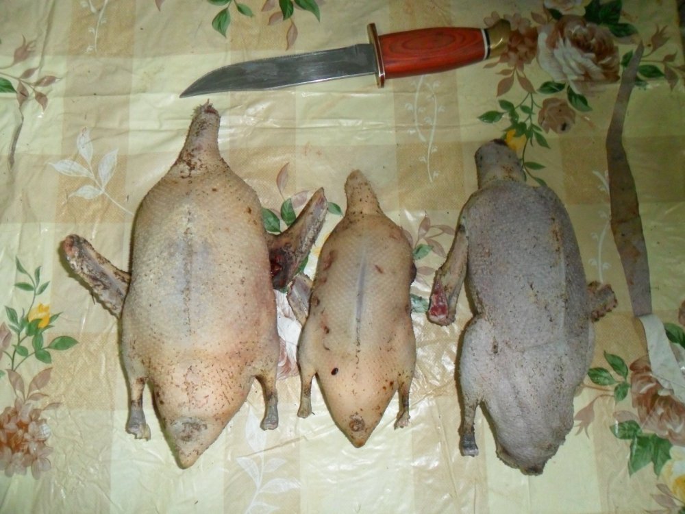 Будет ужин.