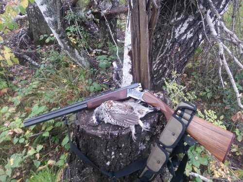 Мой первый рябчик