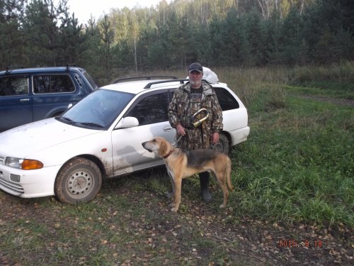 Русские гончии