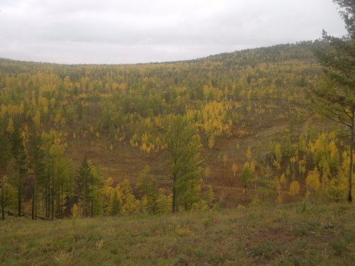 осень..
