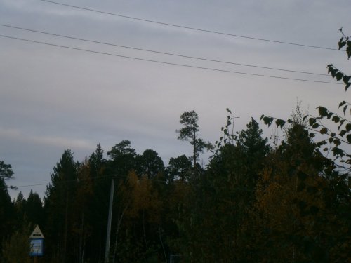Глухаришка
