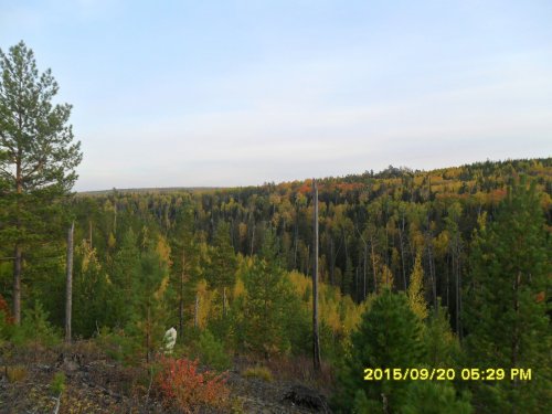 распадок