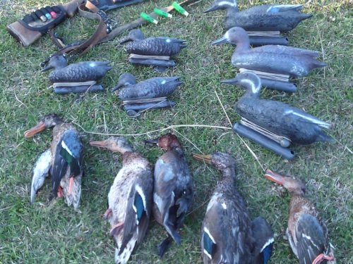 17.09 Полтора часа и домой))