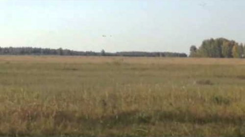 Гуси бомбят поля
