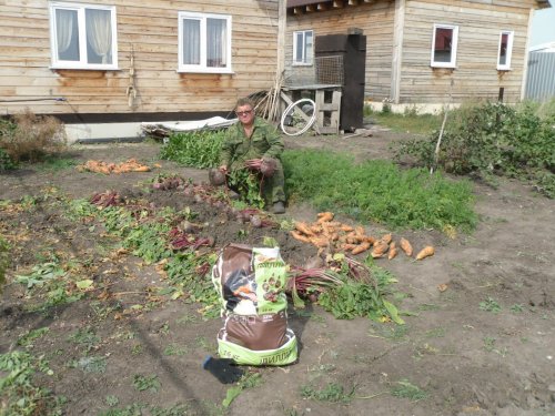 Заготовки на зиму.