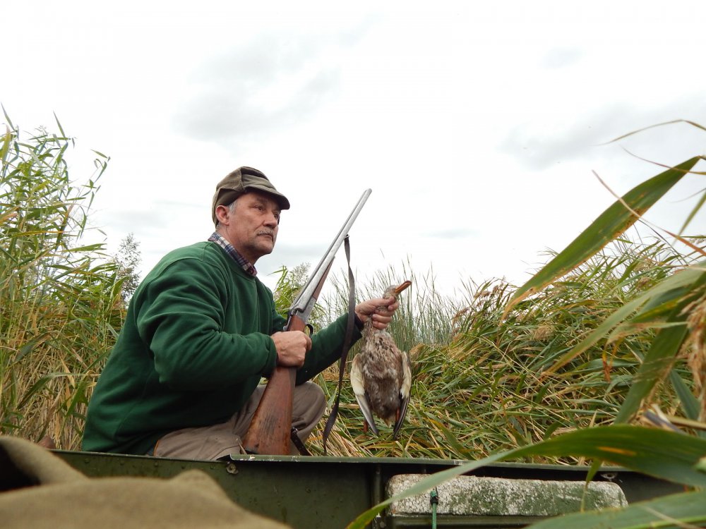 "Поклёвки" были, но частые.