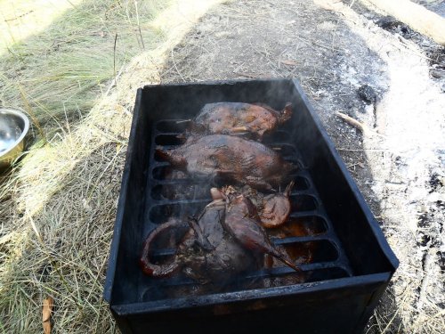 Свеженькие))