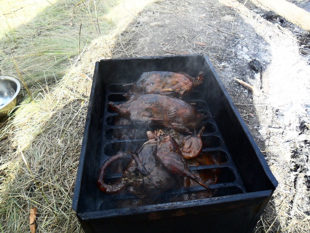 Свеженькие))