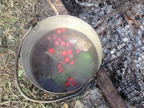 Лесной чай