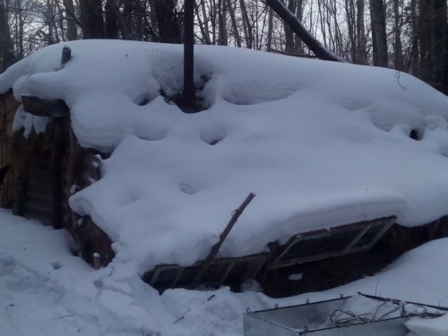 Зимовье