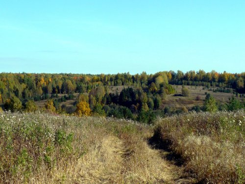 Вид осени