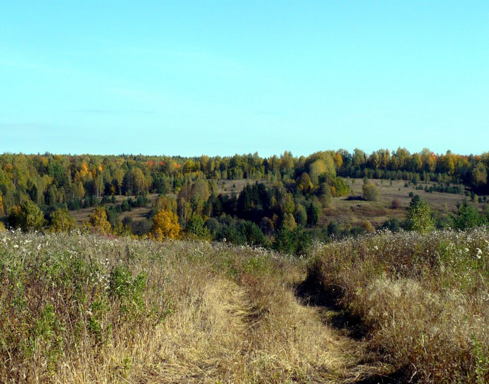 Вид осени