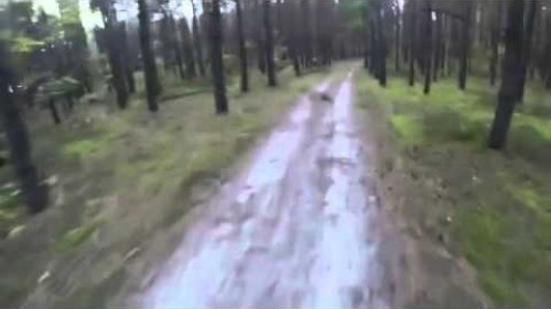Погоня медведя,слабонервным не смотреть!