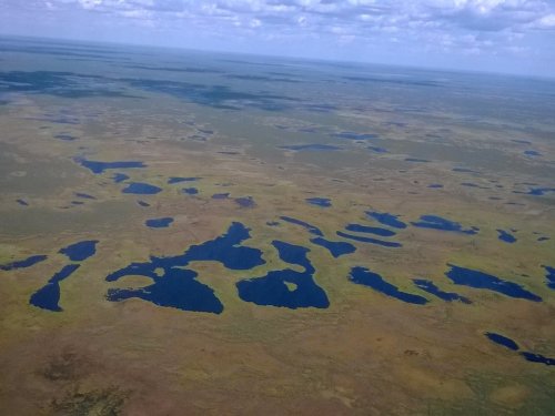 ...с высоты птичьего полёта