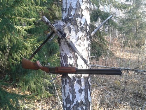 Мал золотник, да дорог!