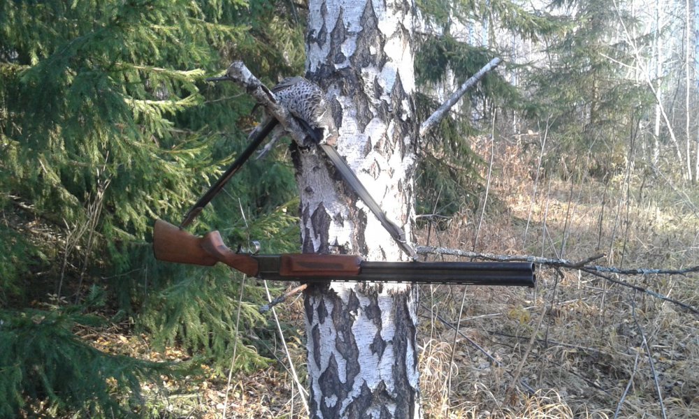 Мал золотник, да дорог!