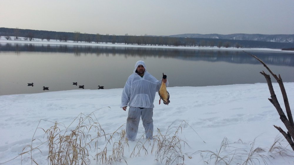 16.12.2014