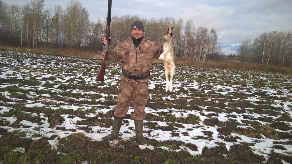 Новый томский профессор.