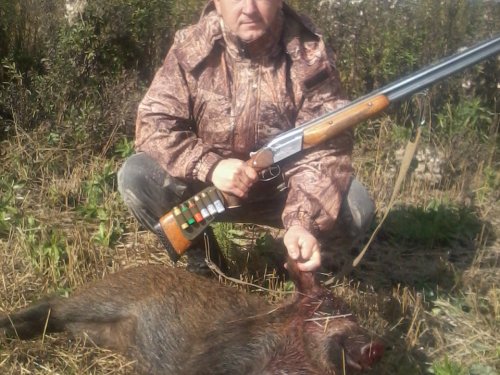 друг Saban 70 закрыл лицензию.