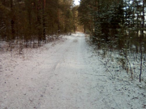 В бору немного снежка.