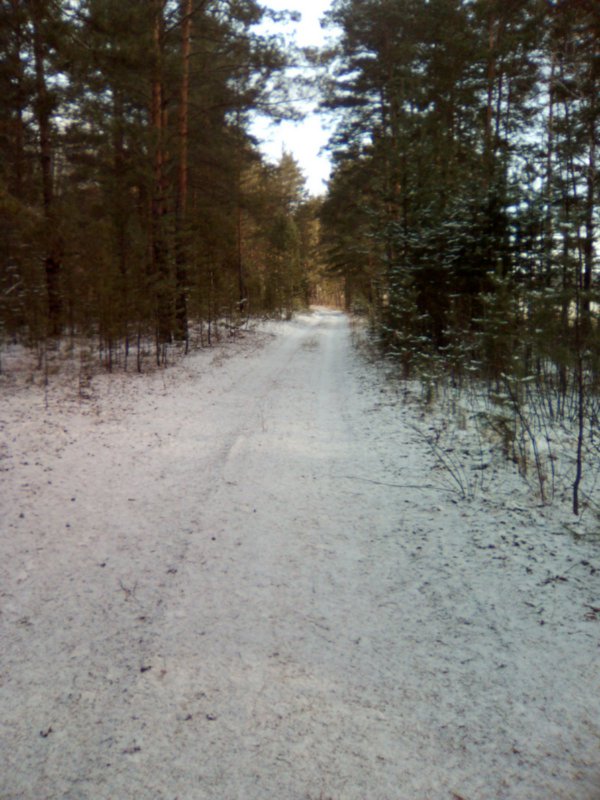 В бору немного снежка.