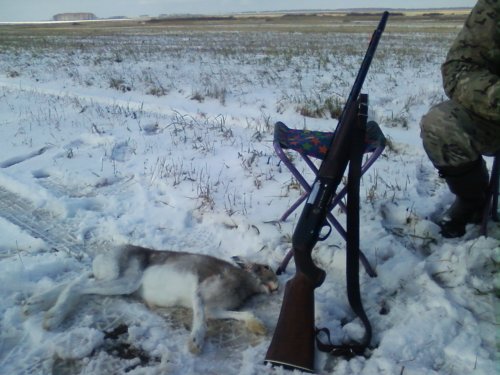 Сегодня с утра-3