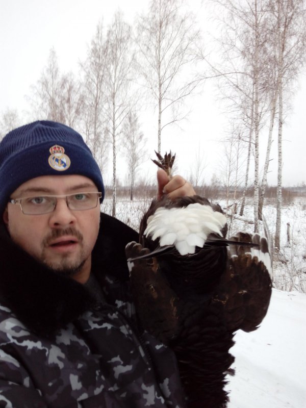 Косач