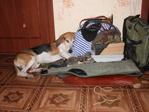 Перед выездом!