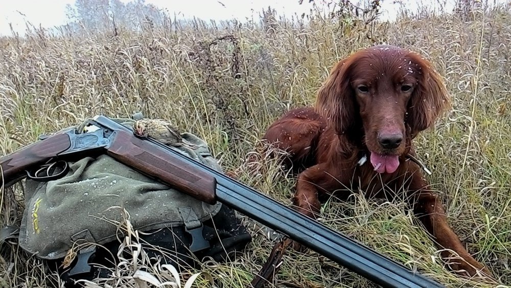 По полевой.