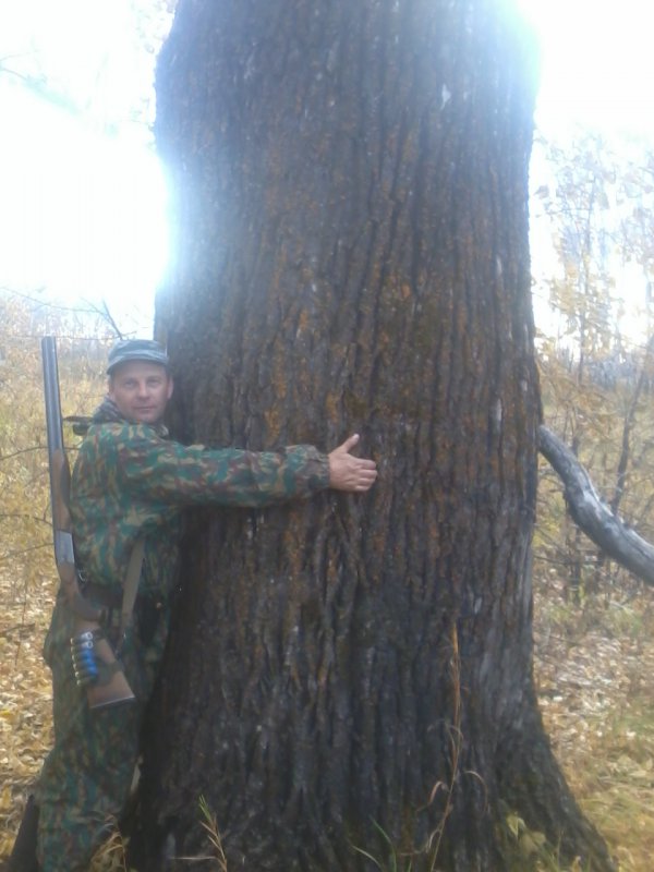 Обнимаю великана.