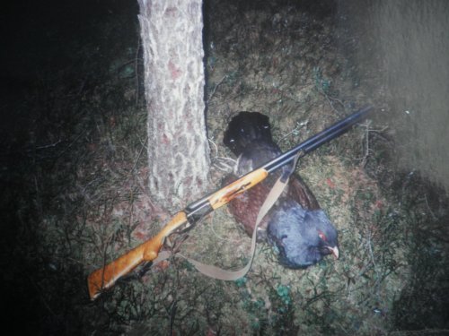 На току