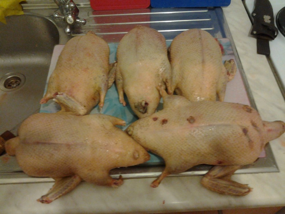 готовая продукция на алтае