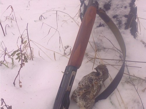 маленький красавец