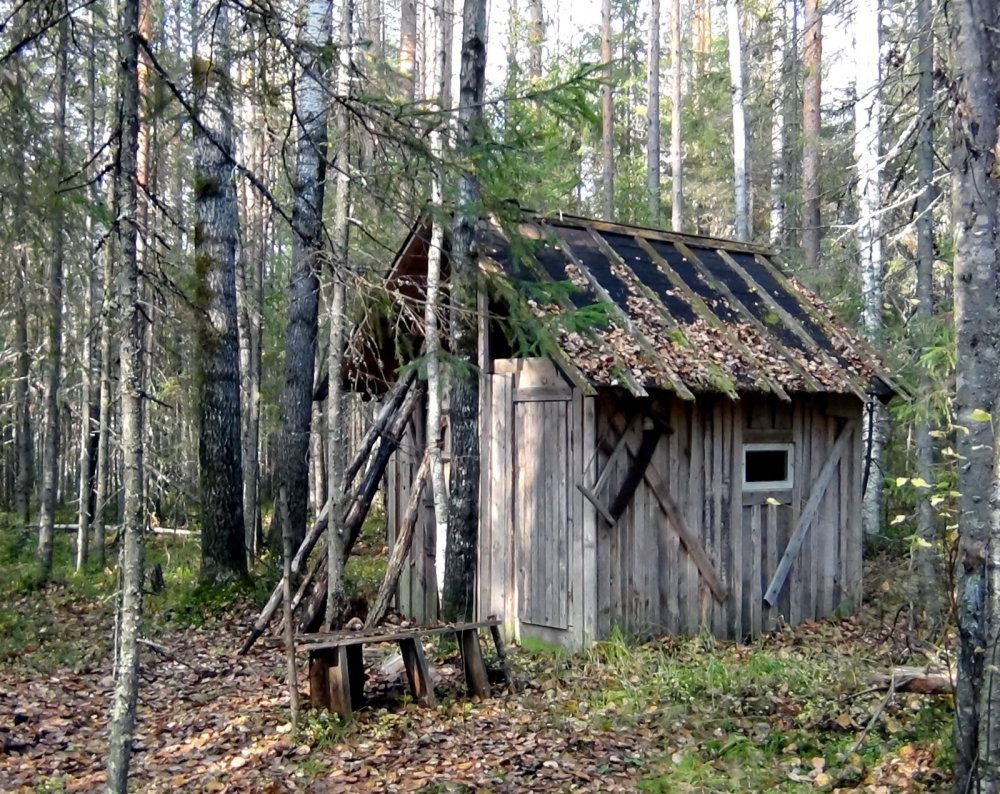 Избушка