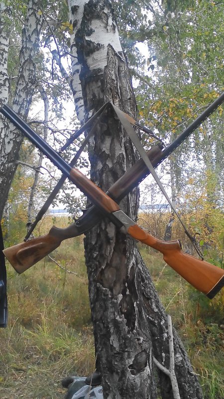 Тозик