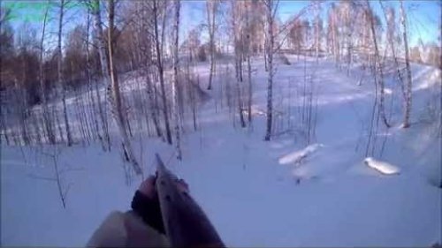 Охота на зайца-беляка.
