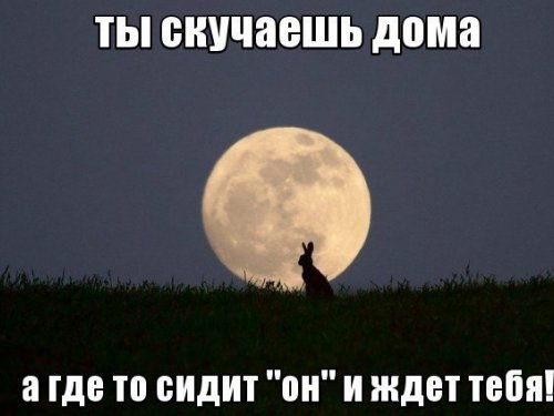 ))