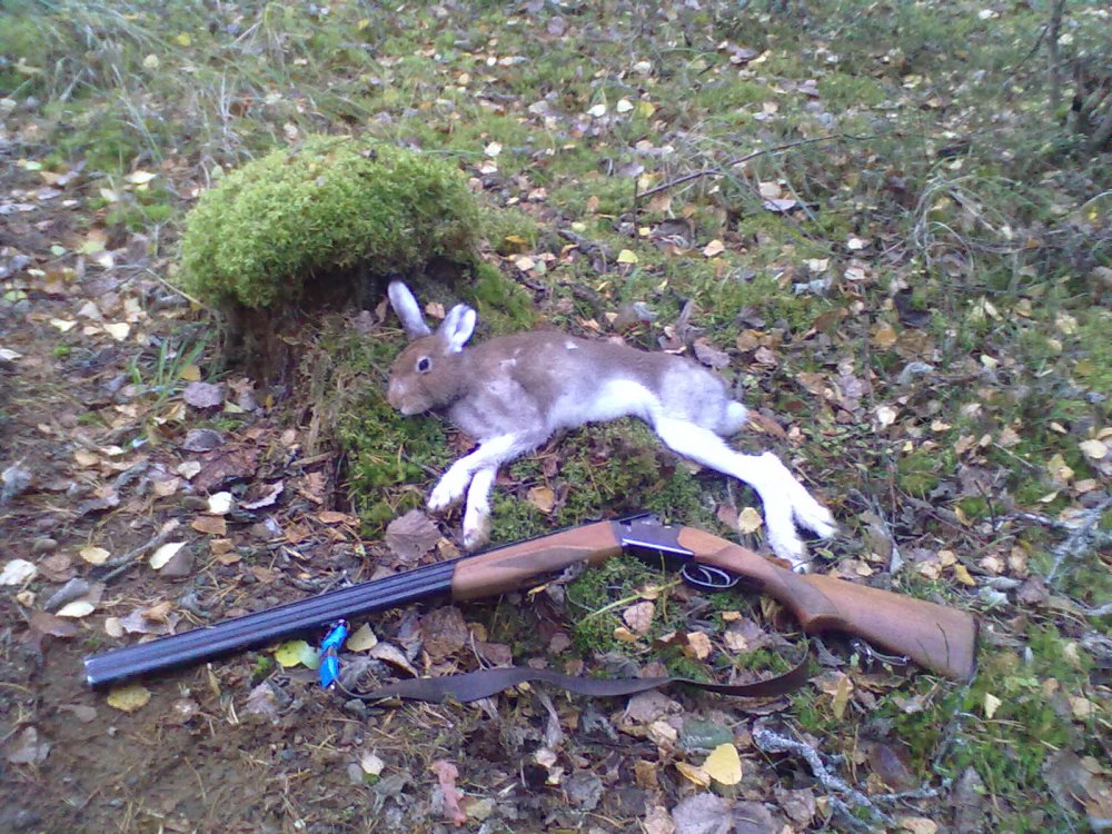 удачный день..
