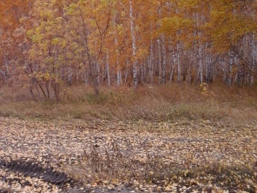 осень