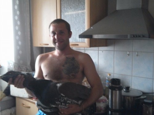 К вестям с полей