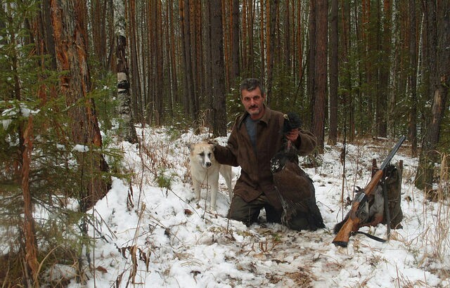 сезон 2014