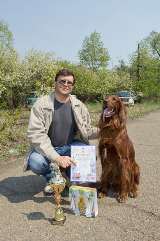 Городская выставка охотничьих собак-2014