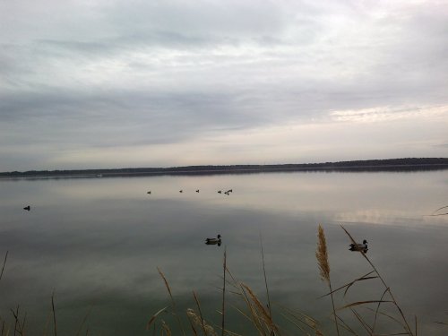 возможно закрытие