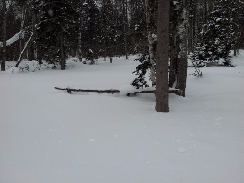Подснежный шалаш
