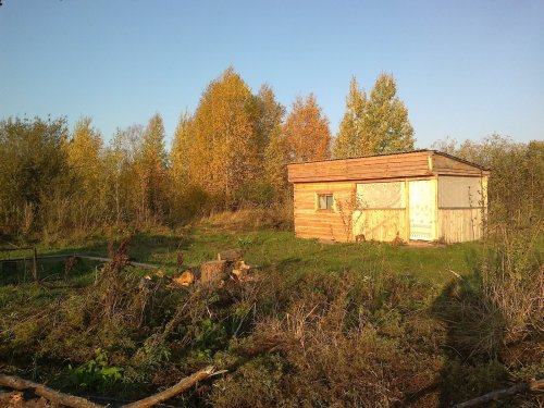 поляна у избы