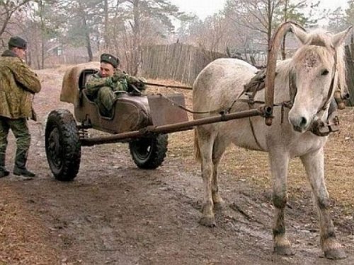 вэдовый